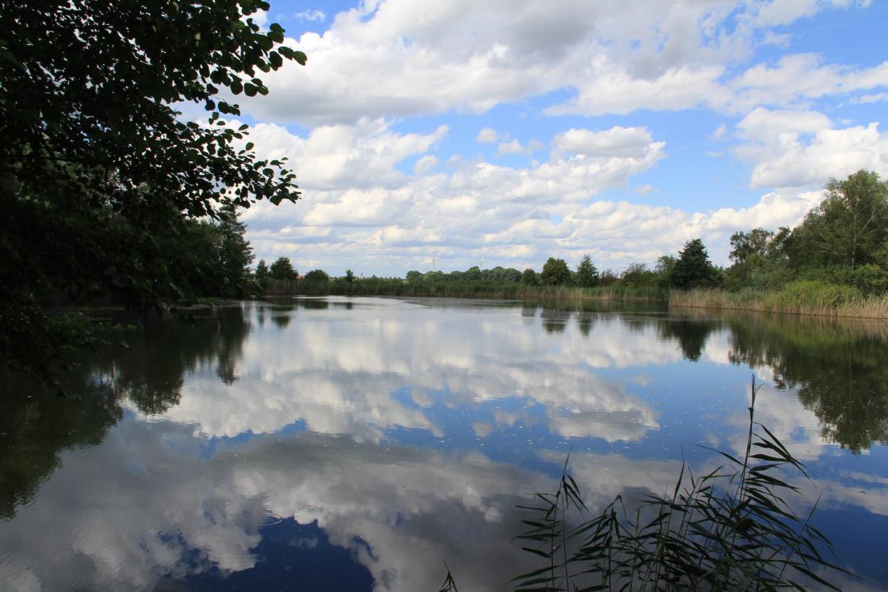 Ferienwohnungen Im Kunst.Haus Am See Doberlug-Kirchhain Extérieur photo